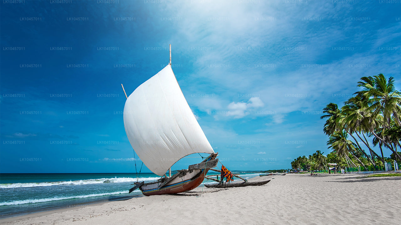 海滩与城市（4 天）