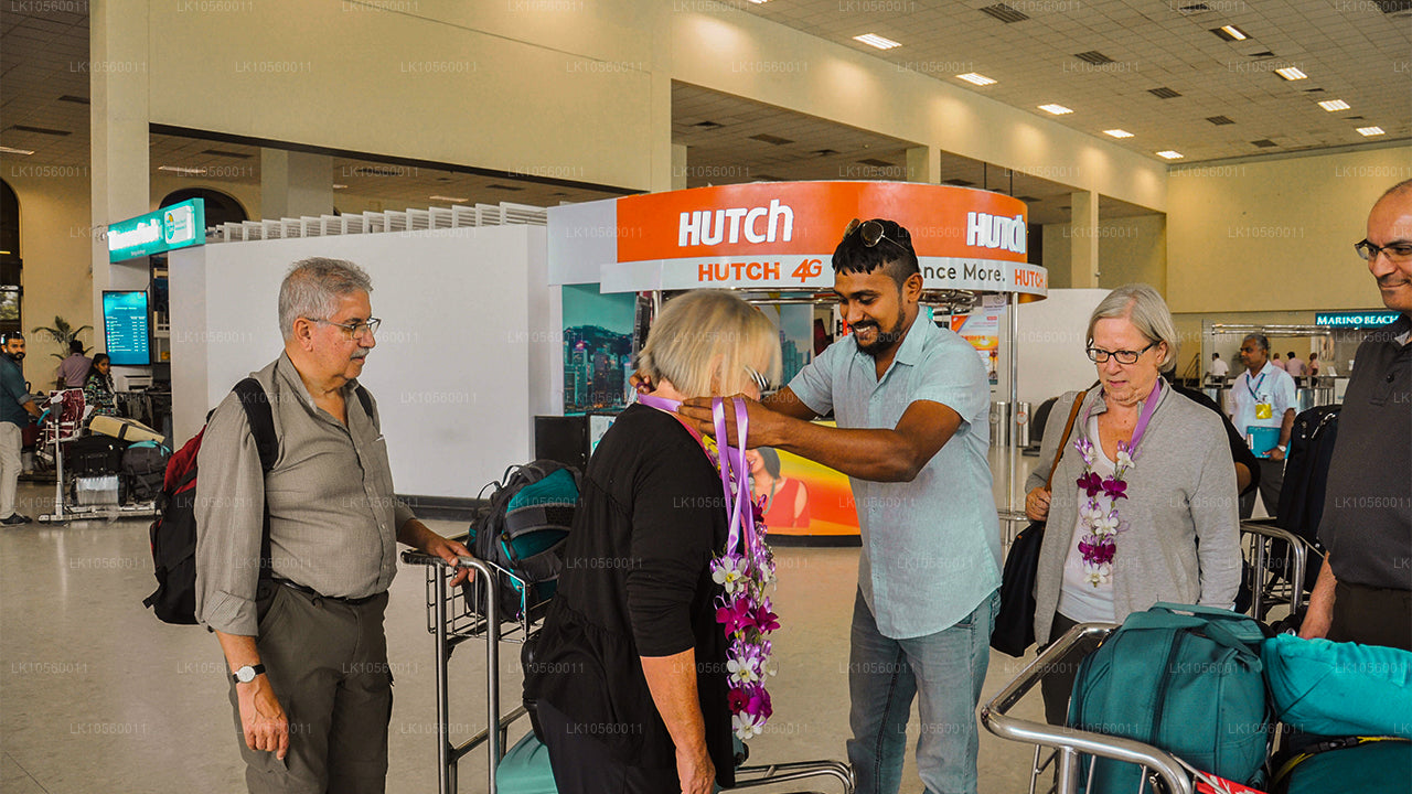 南部海岸带（5 天）