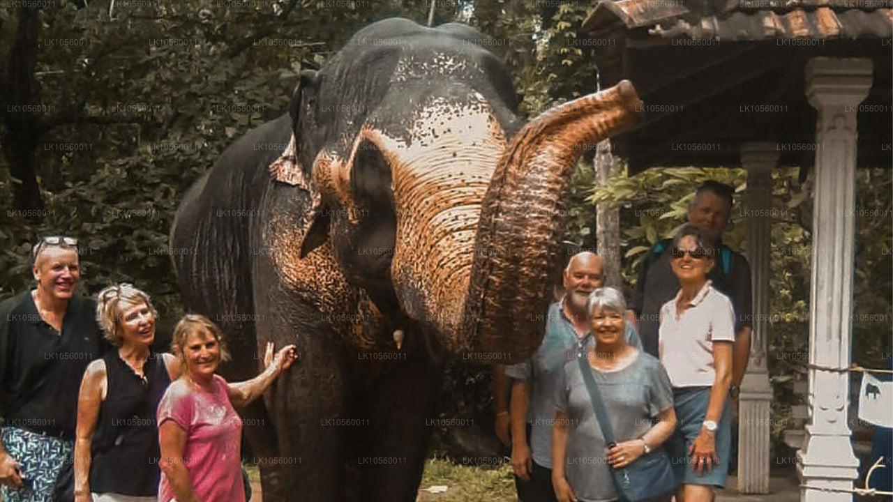 南部海岸带（5 天）