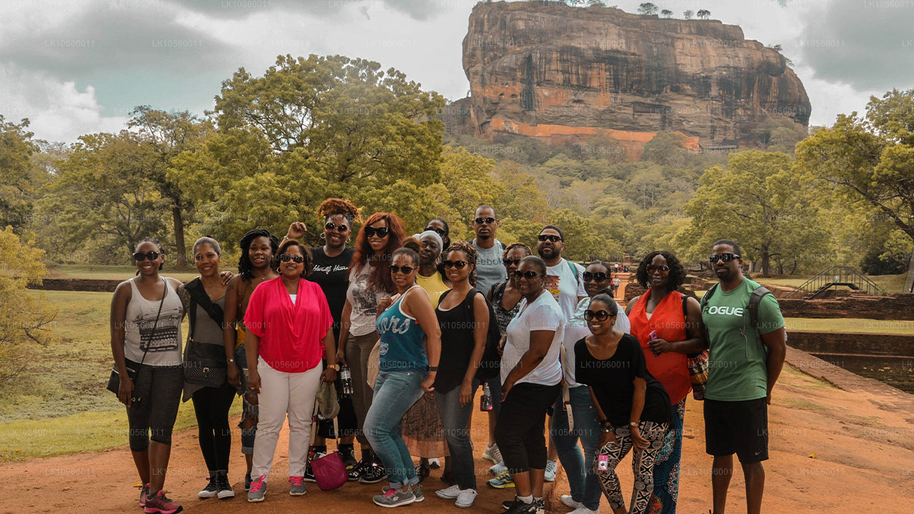 南部海岸带（5 天）