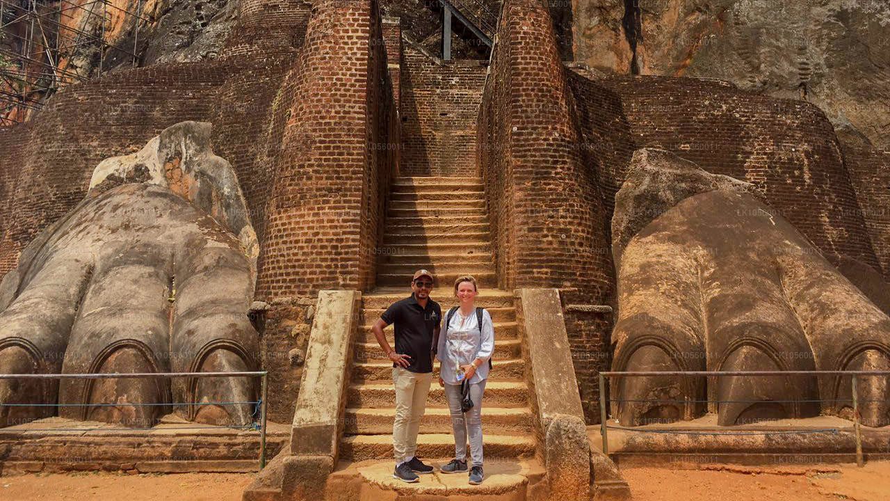 南部海岸带（5 天）