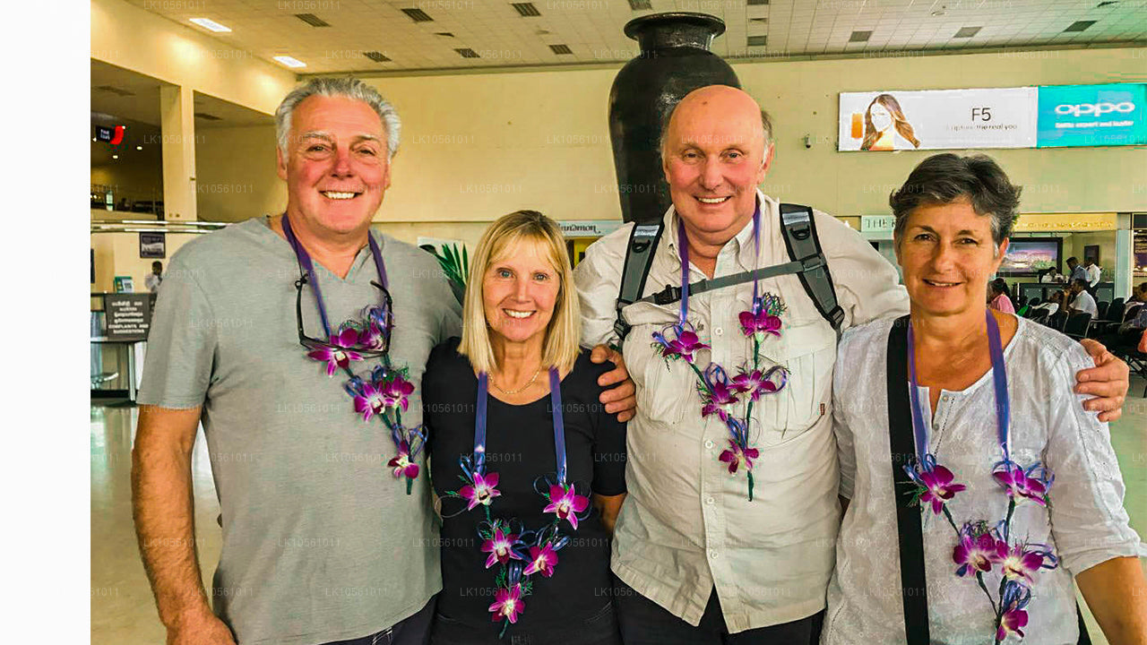 奇迹之岛（5 天）