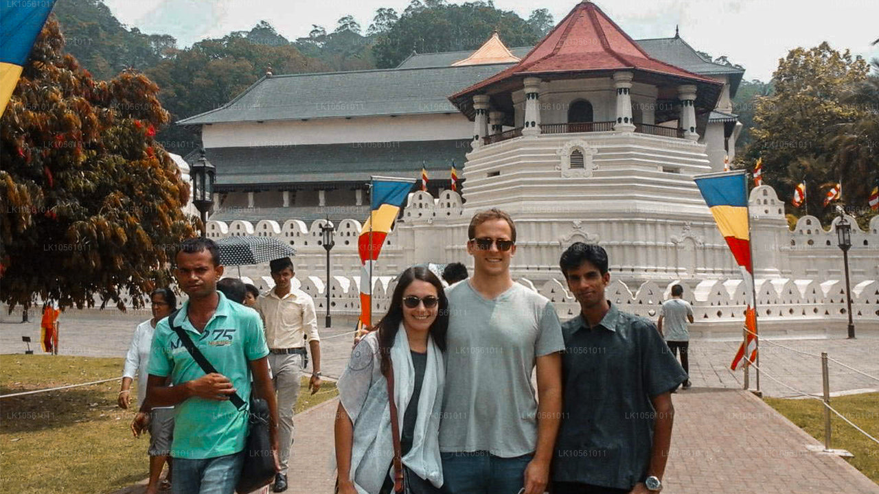 奇迹之岛（5 天）