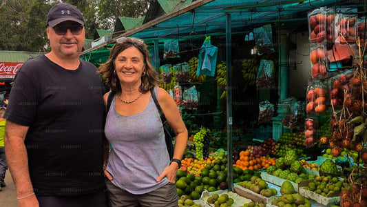 奇迹之岛（5 天）