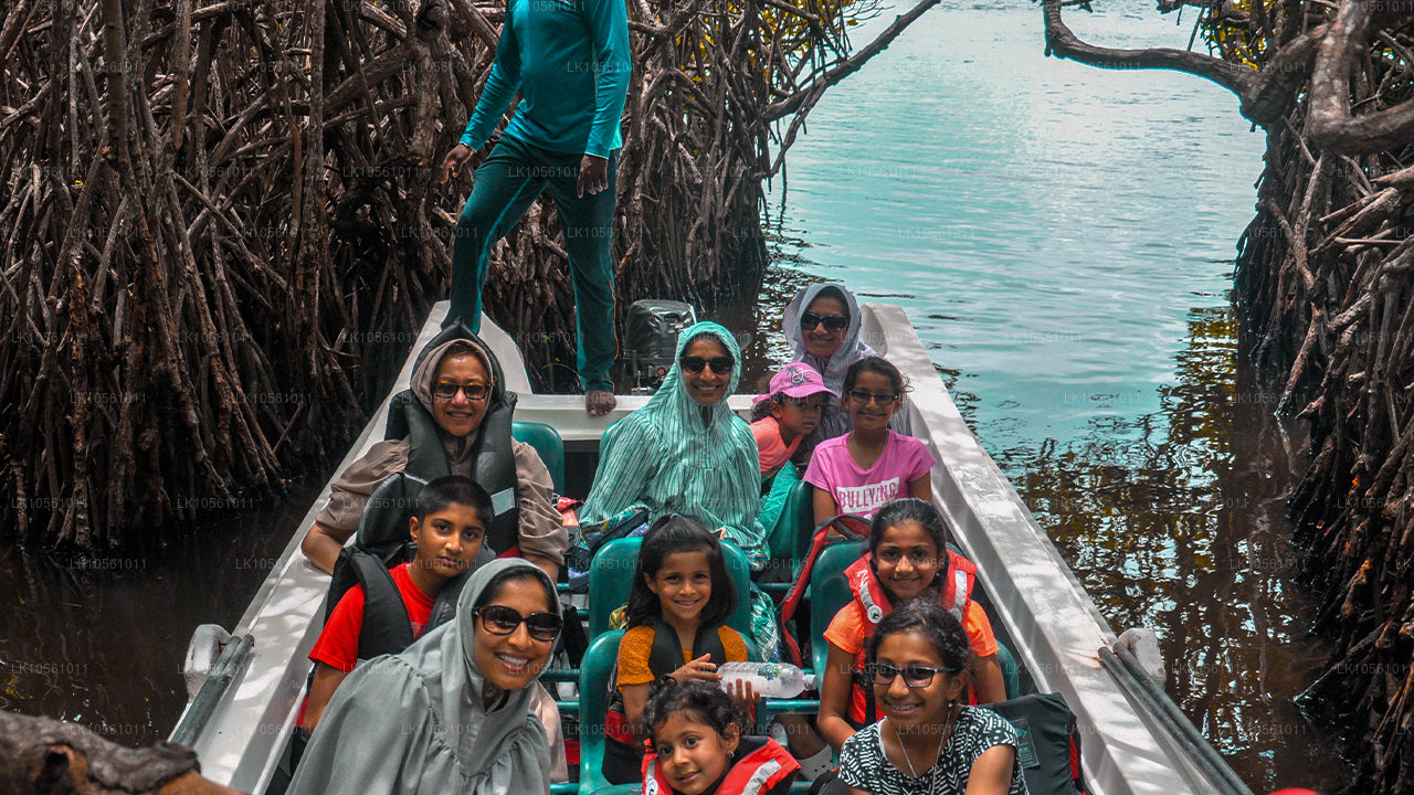 奇迹之岛（5 天）