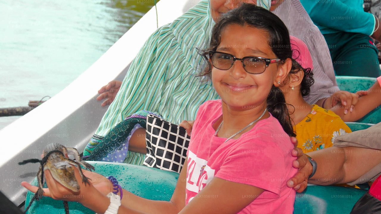 奇迹之岛（5 天）