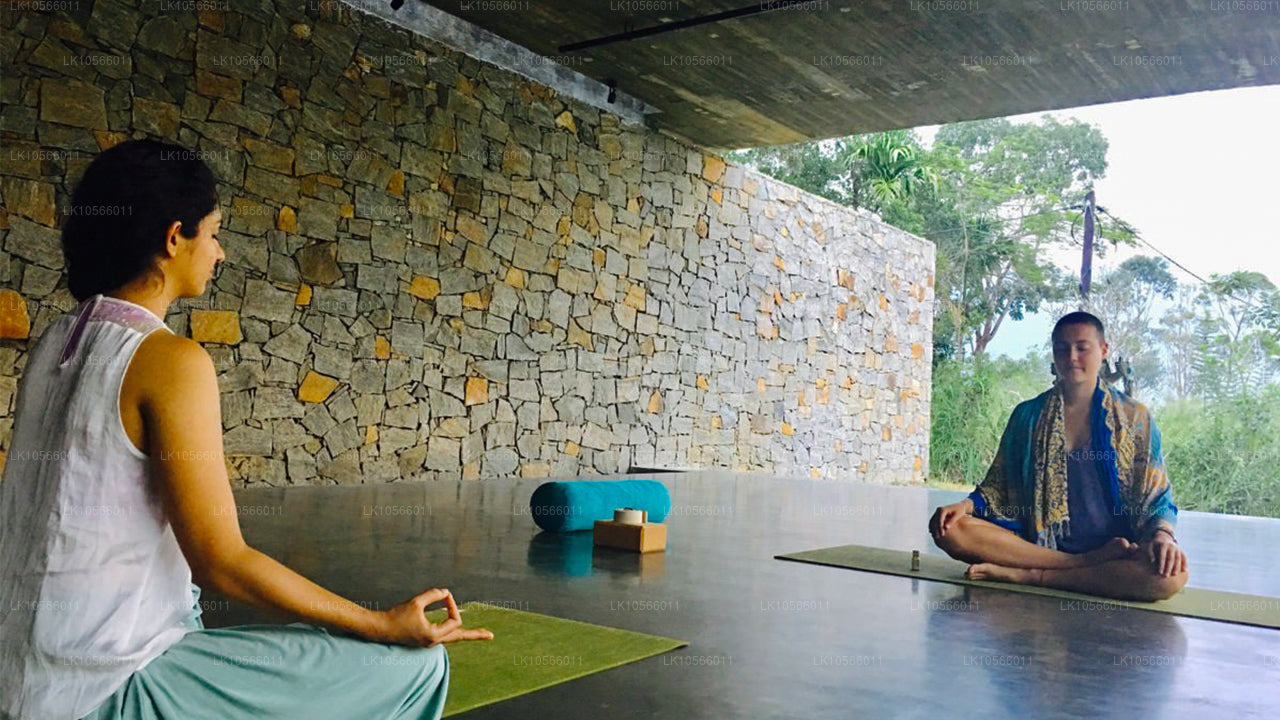 冥想和瑜伽之旅（5 天）