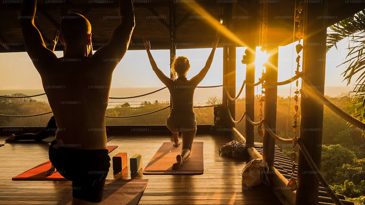冥想和瑜伽之旅（5 天）