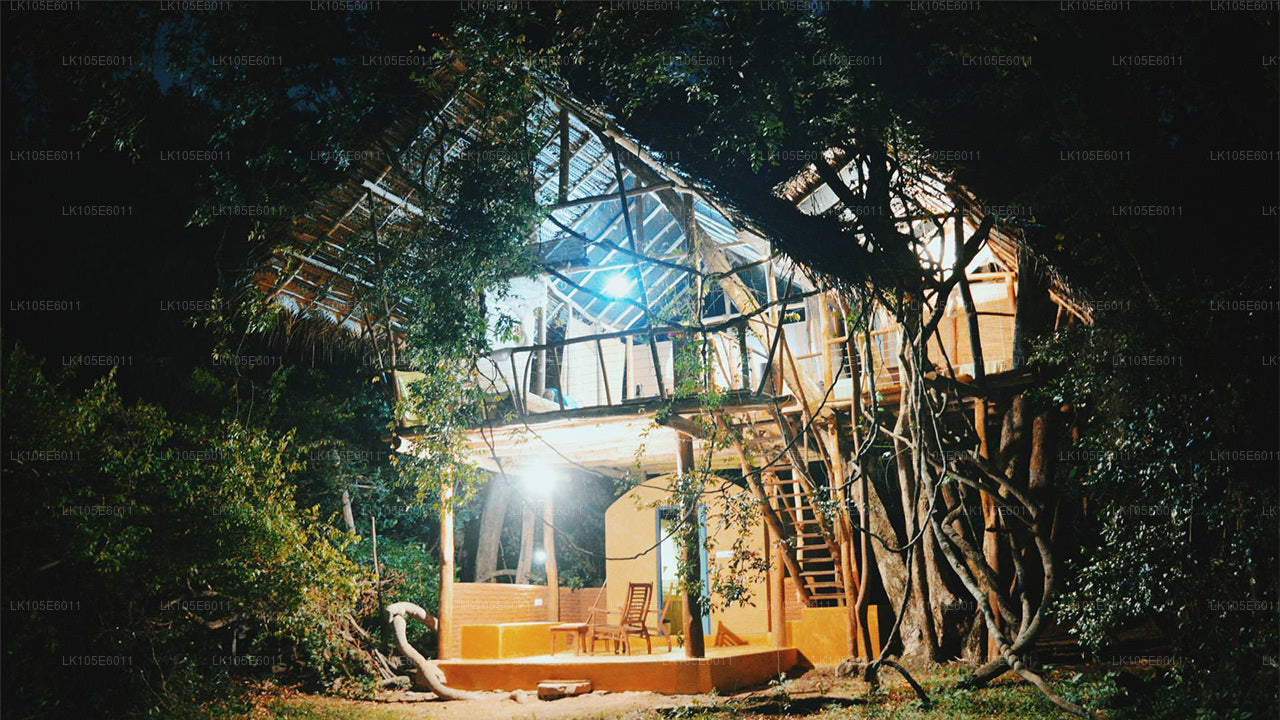 斯里兰卡生态之旅（6 天）