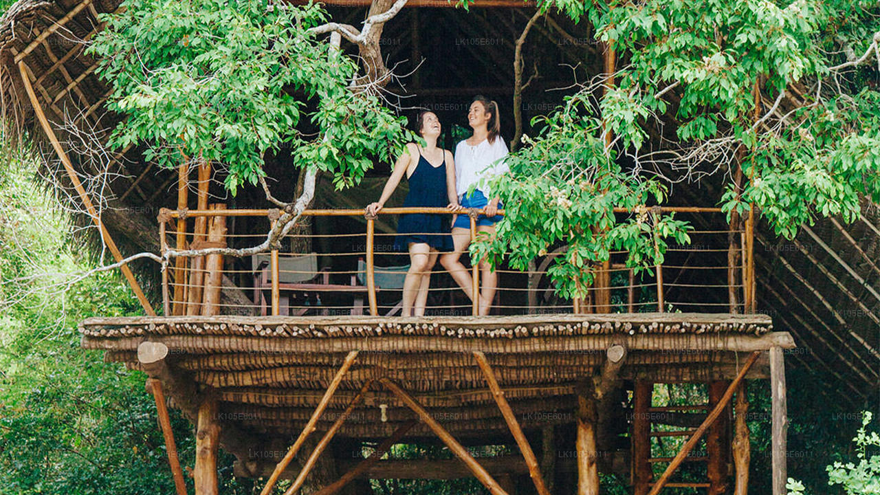 斯里兰卡生态之旅（6 天）