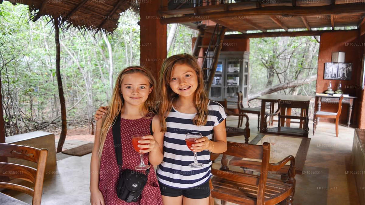 斯里兰卡生态之旅（6 天）