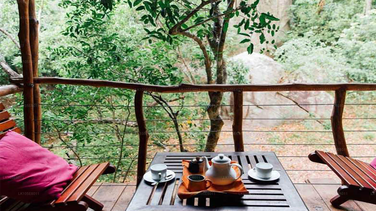 斯里兰卡生态之旅（6 天）