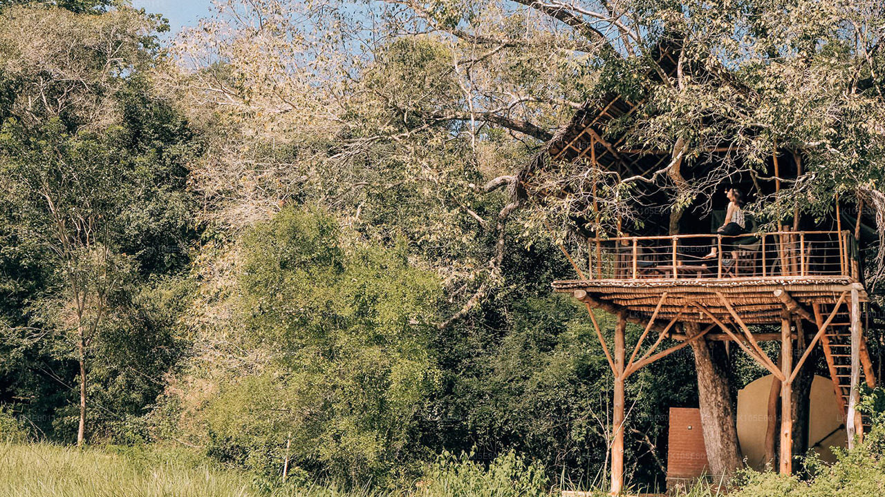 斯里兰卡生态之旅（6 天）