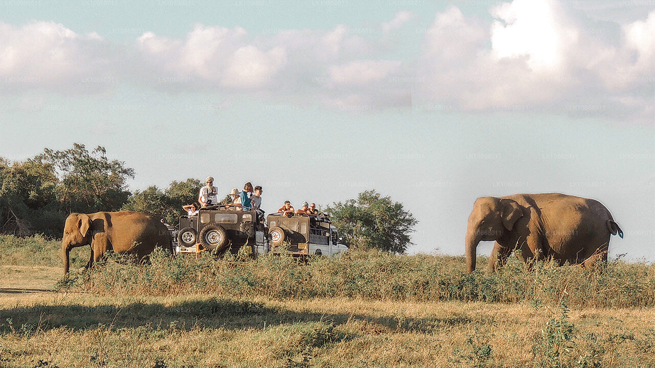 精彩斯里兰卡之旅（6天）