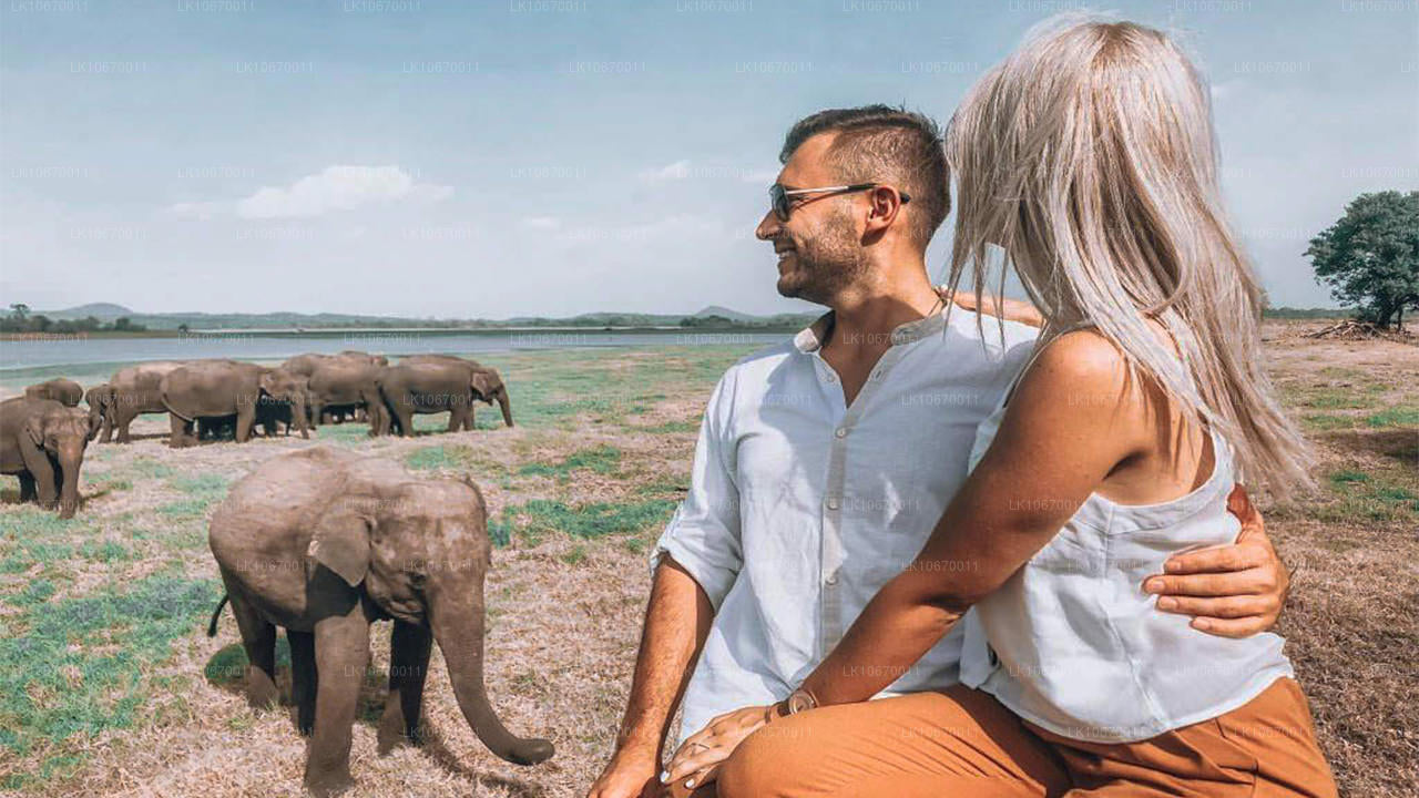 文化与中心乡村（6 天）