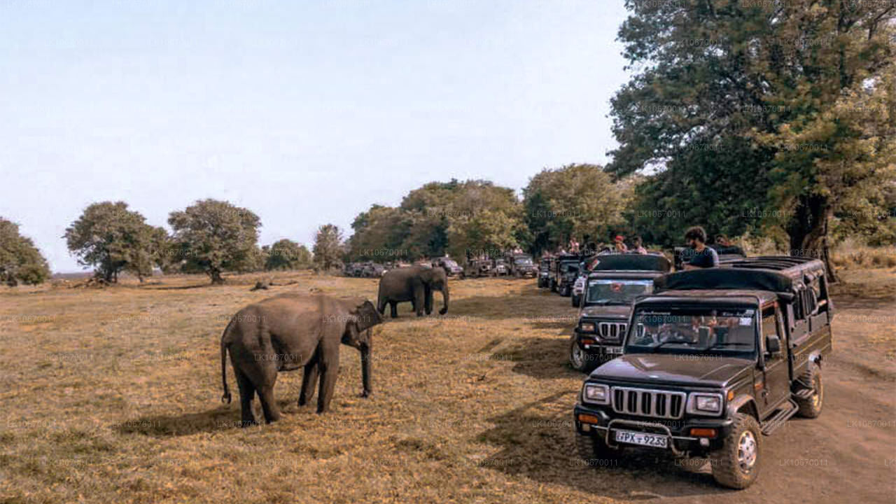 文化与中心乡村（6 天）