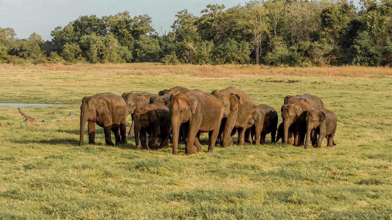 文化与中心乡村（6 天）