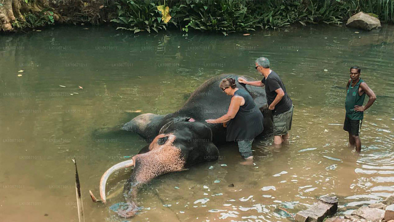 罗摩衍那步道（6 天）