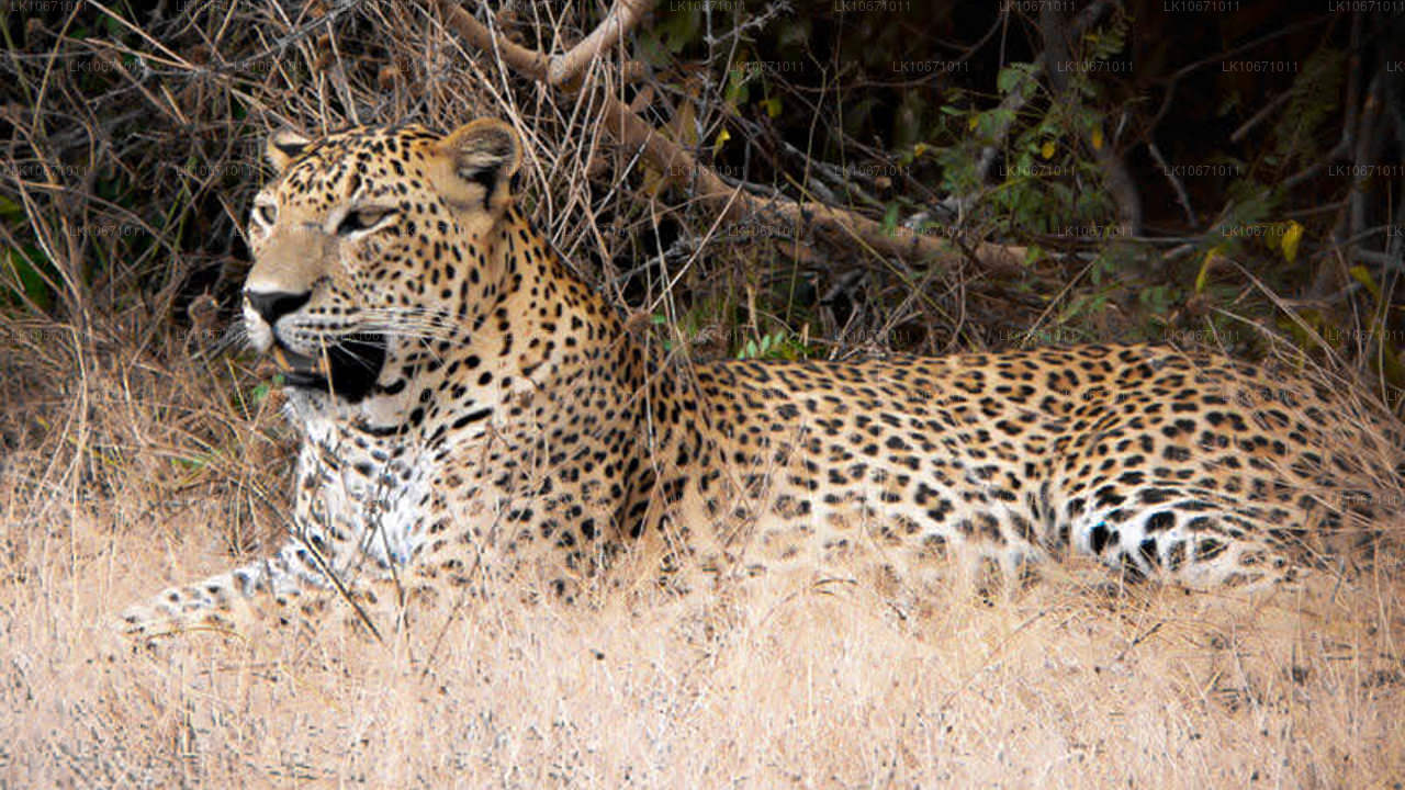 罗摩衍那步道（6 天）