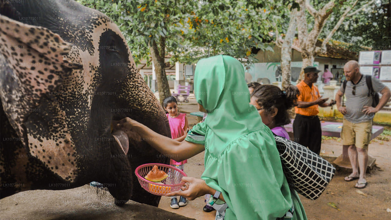 走进山里（7 天）