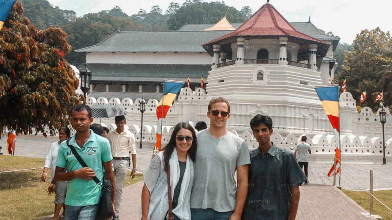 走进山里（7 天）