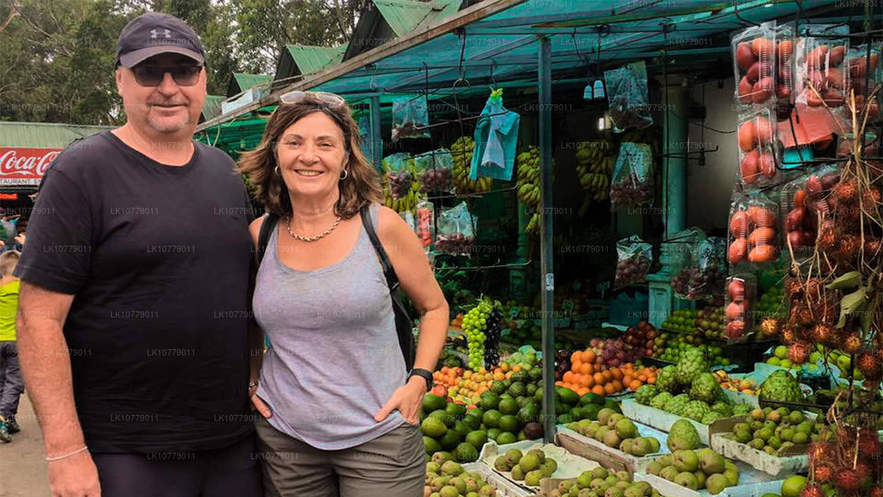 走进山里（7 天）