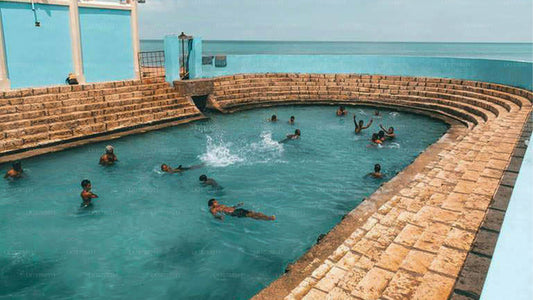 不可思议的贾夫纳（7 天）