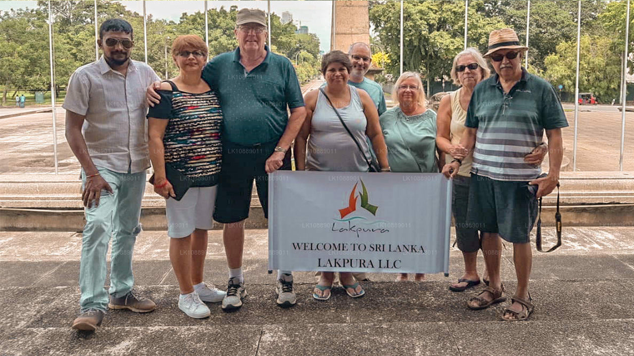 在文化中漫步（8 天）