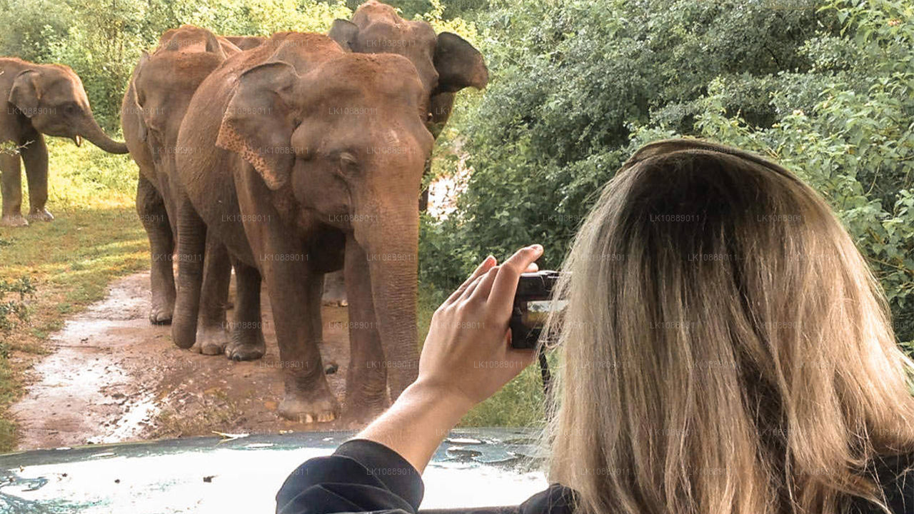 在文化中漫步（8 天）