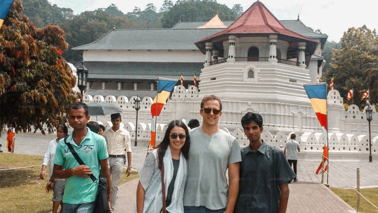 典型锡兰（8 天）