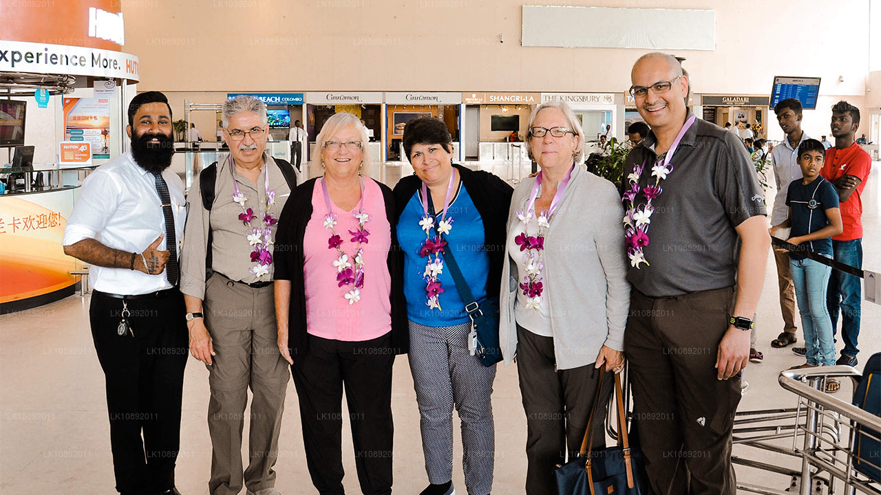 文化、荒野与自然（8 天）