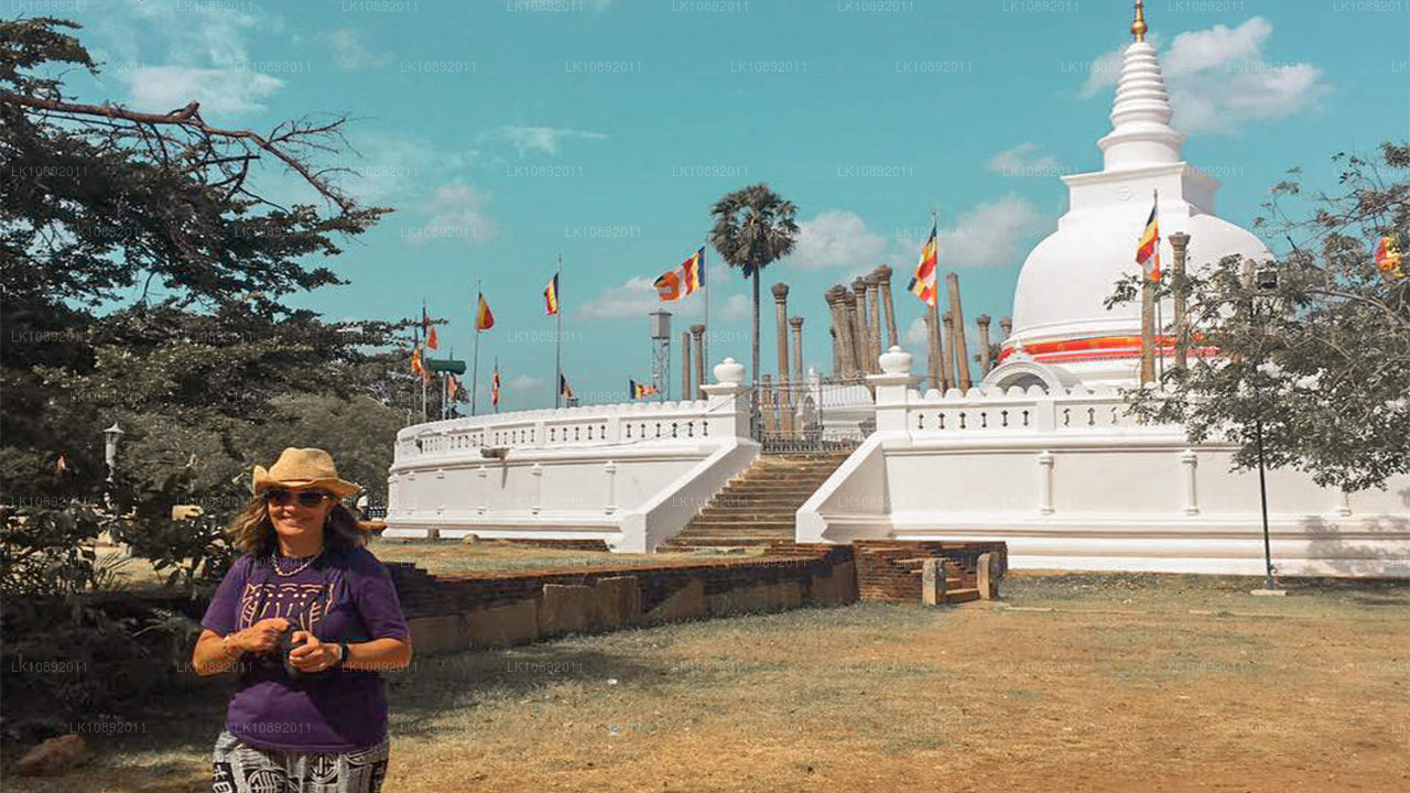 文化、荒野与自然（8 天）