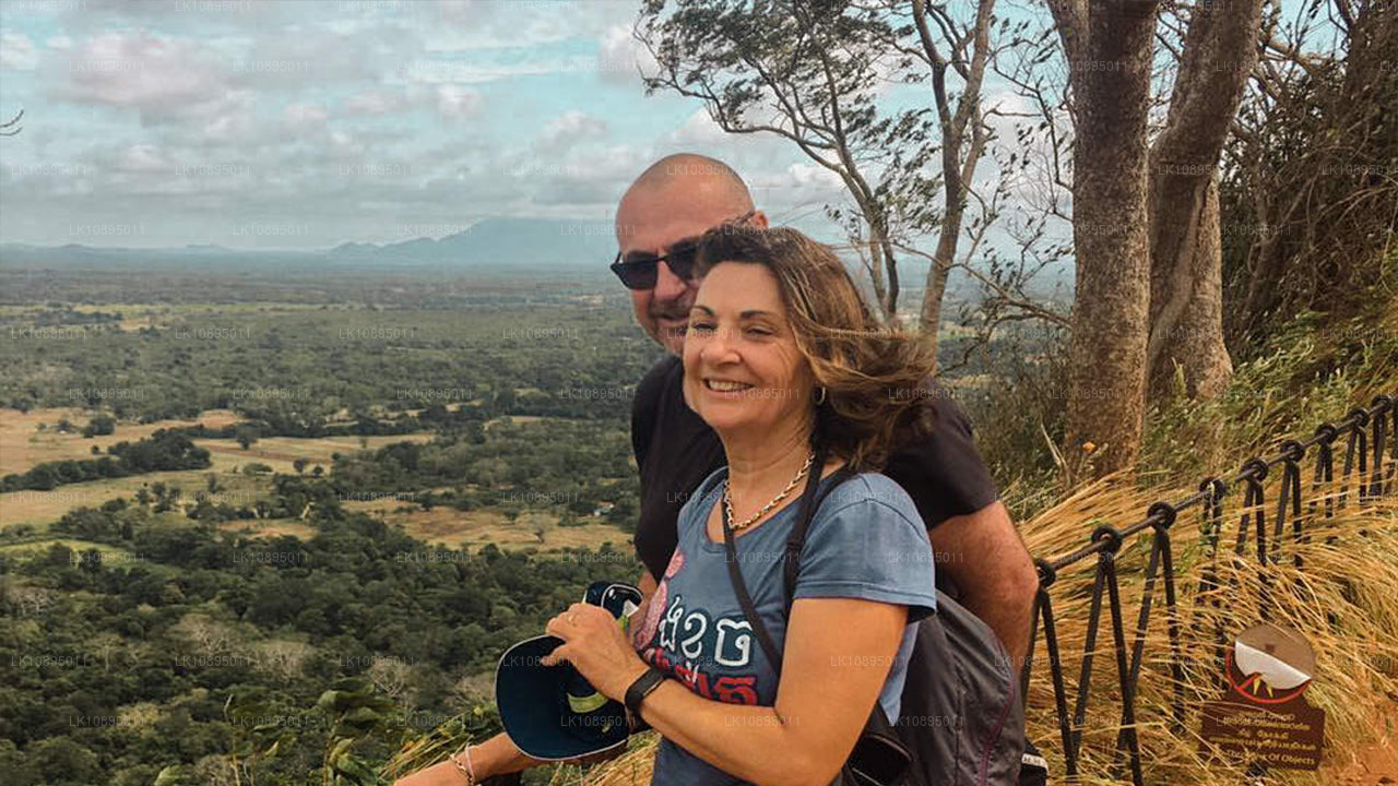 杰弗里·巴瓦印象（8天）