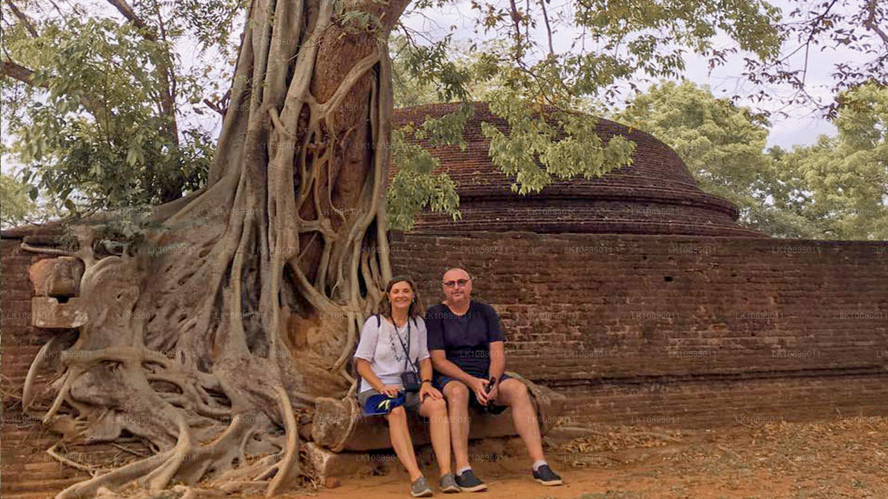 杰弗里·巴瓦印象（8天）