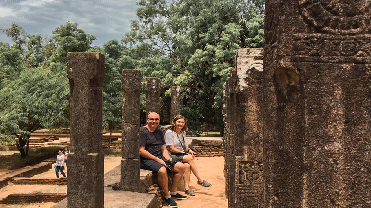 杰弗里·巴瓦印象（8天）