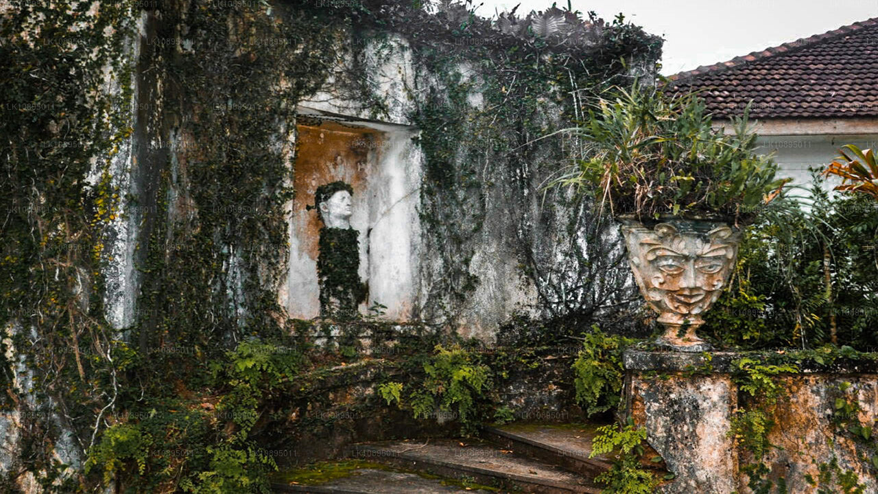 杰弗里·巴瓦印象（8天）