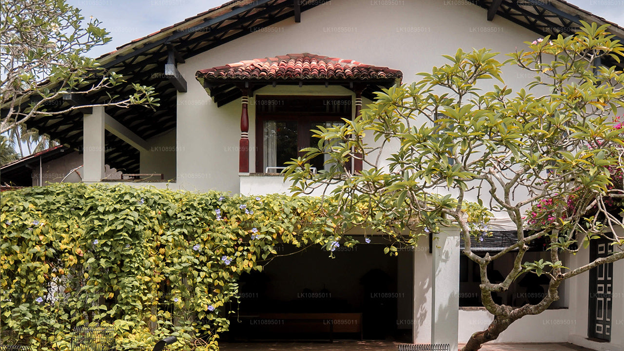 杰弗里·巴瓦印象（8天）