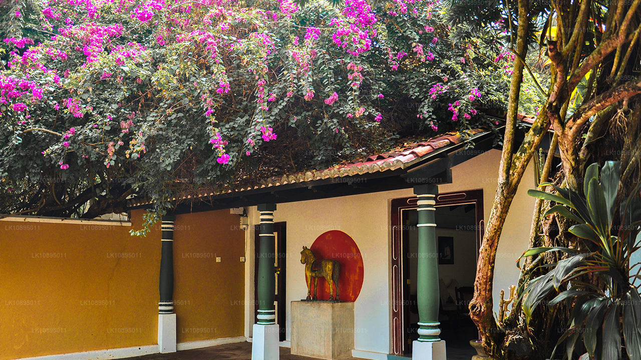 杰弗里·巴瓦印象（8天）