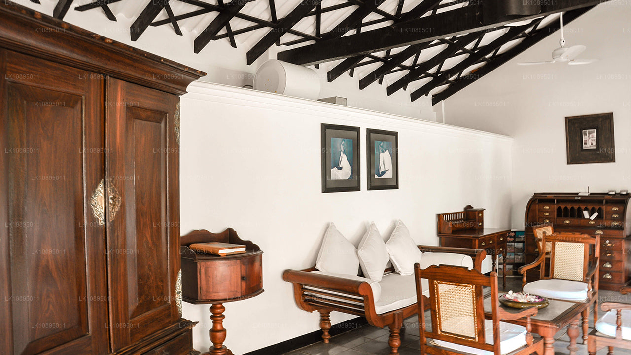 杰弗里·巴瓦印象（8天）