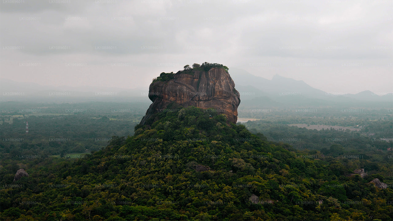 海岸与丘陵（8 天）