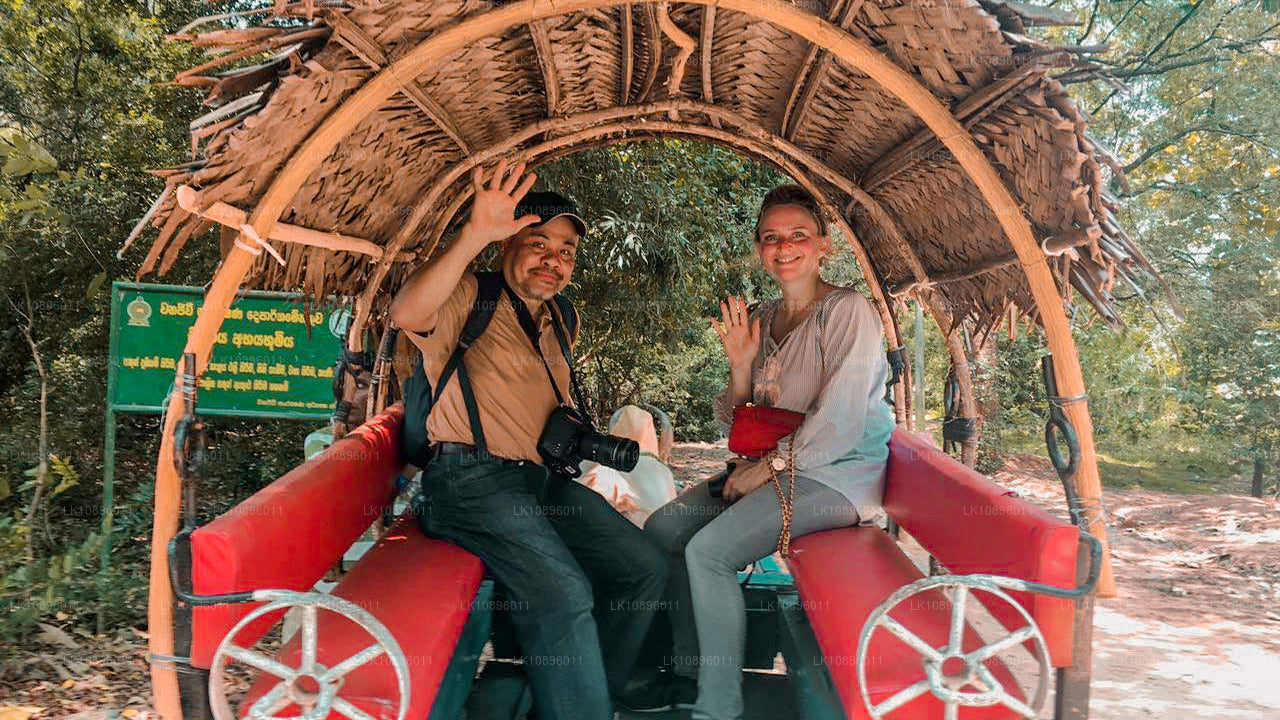 海岸与丘陵（8 天）