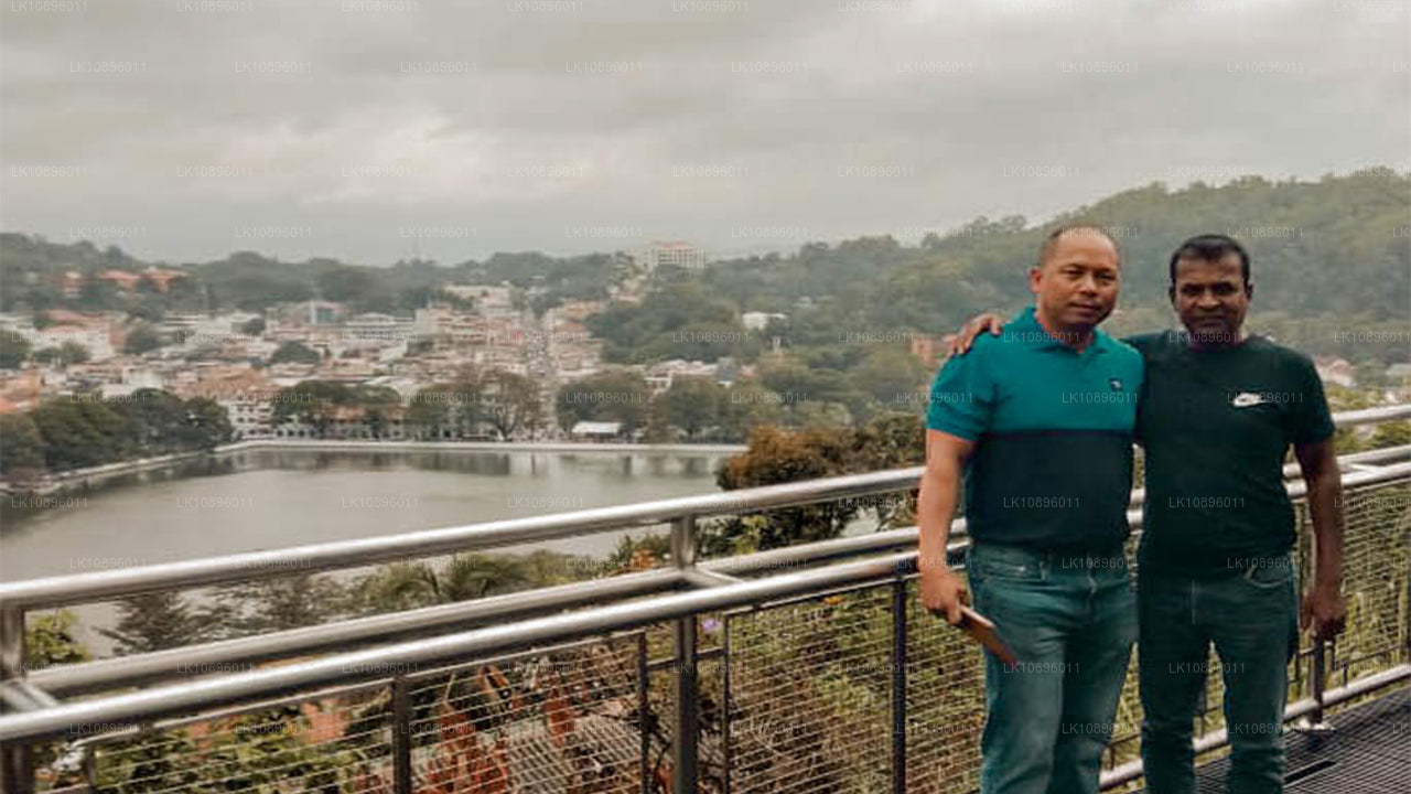 海岸与丘陵（8 天）