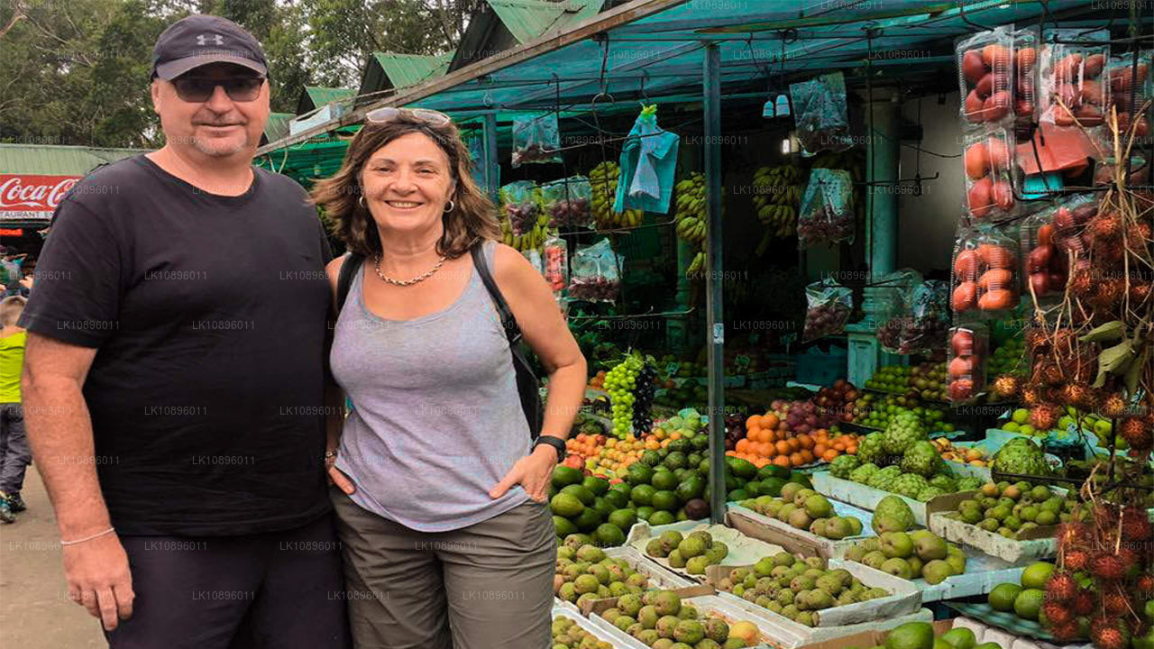 海岸与丘陵（8 天）