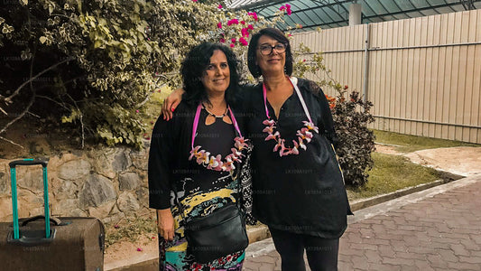 体验南方和山丘（9 天）