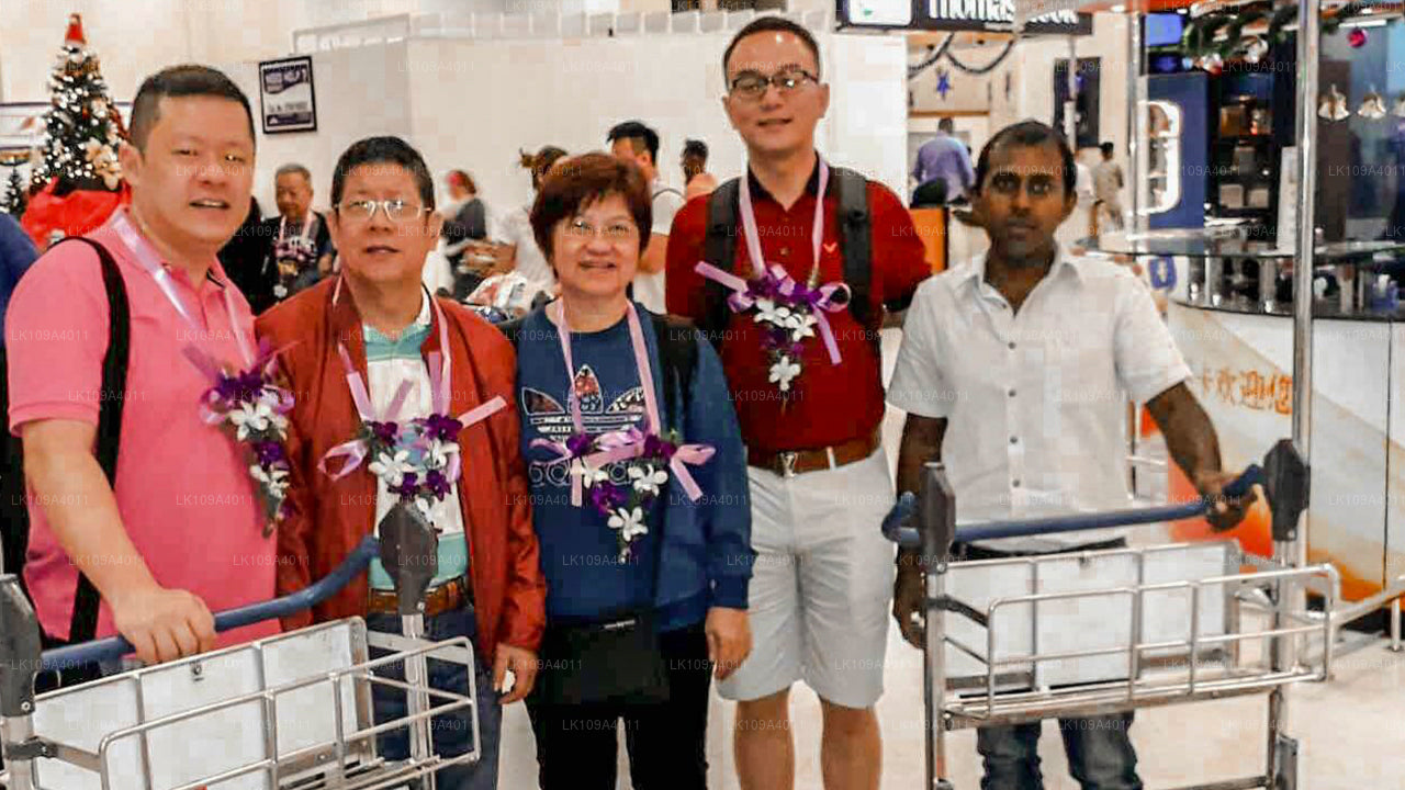 绿色球道和高尔夫假期（9 天）