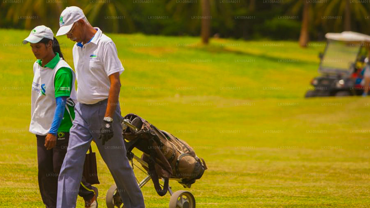 绿色球道和高尔夫假期（9 天）