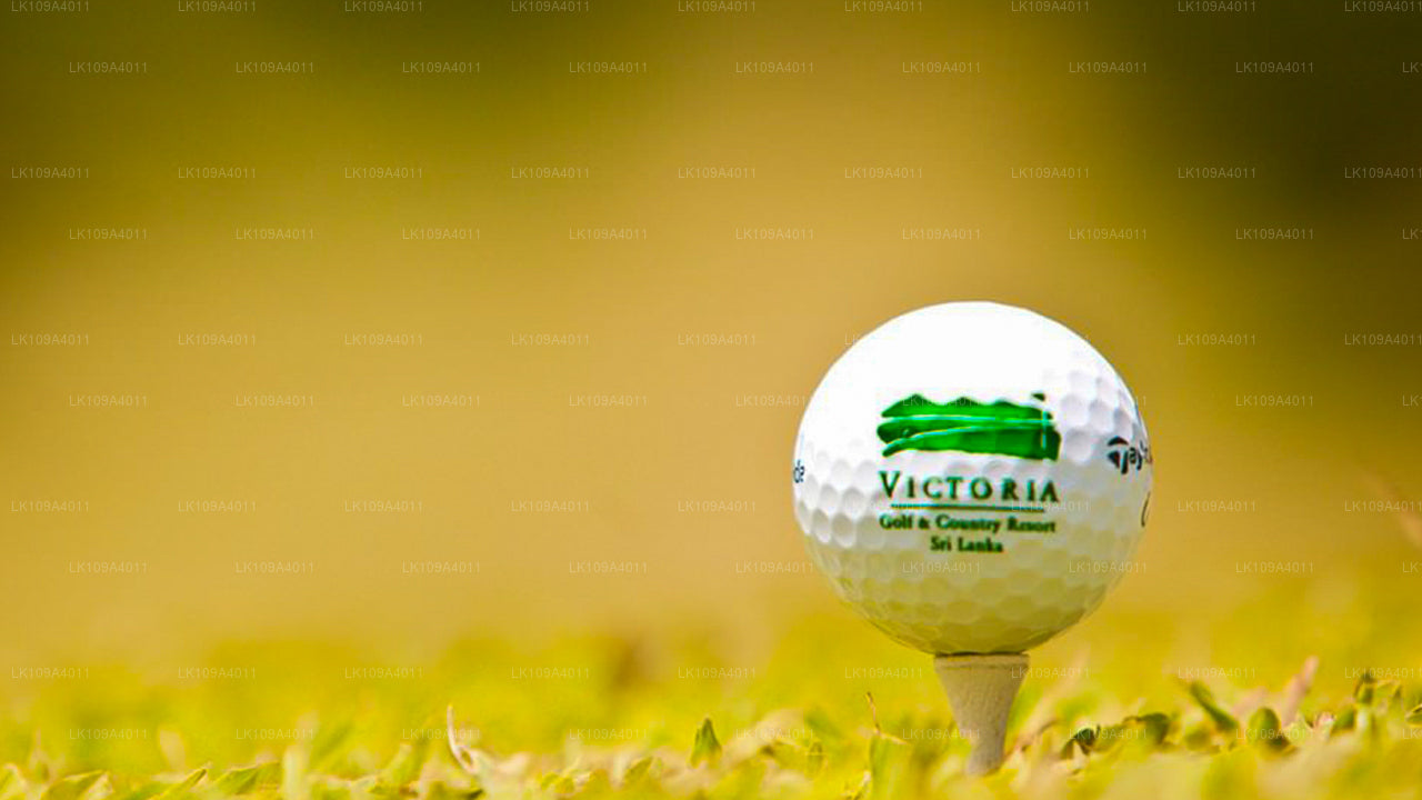 绿色球道和高尔夫假期（9 天）