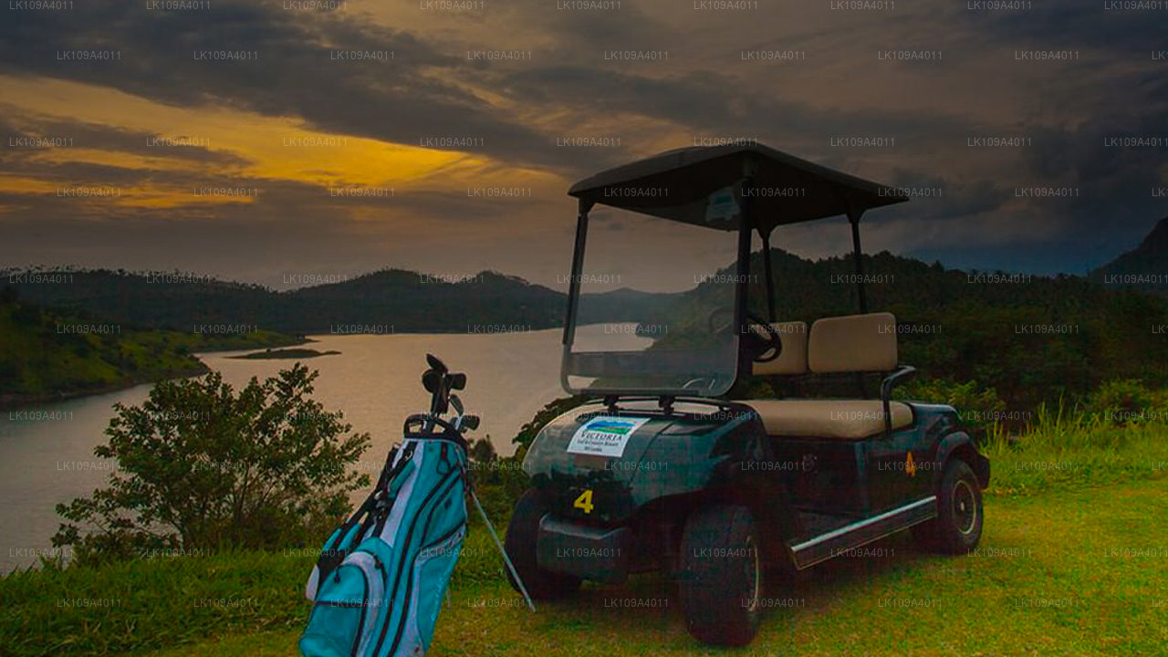 绿色球道和高尔夫假期（9 天）