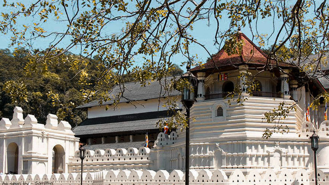 佛教朝圣之旅（9 天）