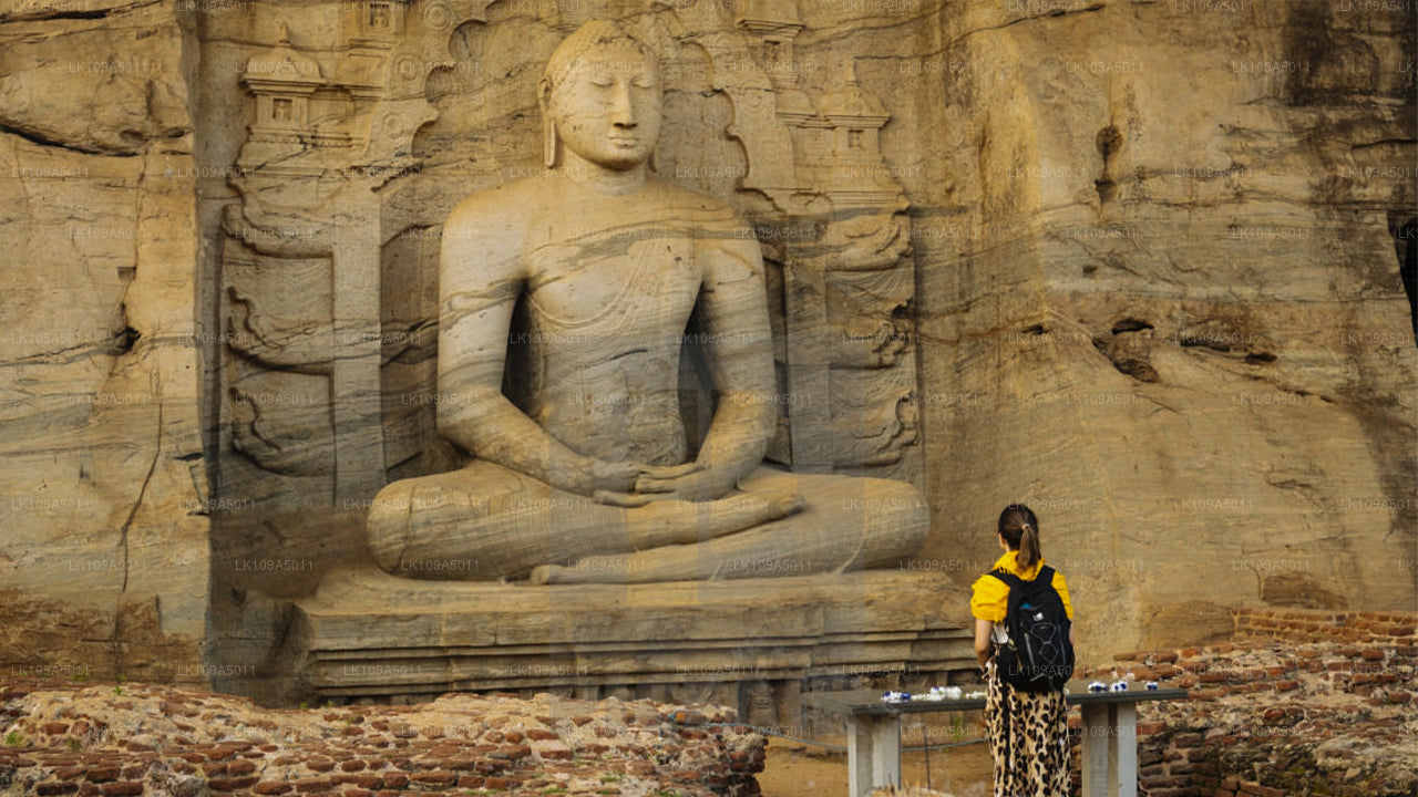 佛教朝圣之旅（9 天）